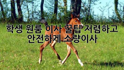 학생 원룸 이사 꿀팁🍯 저렴하고 안전하게! #소량이사